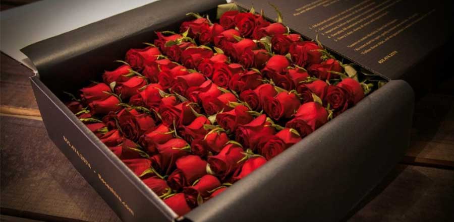 luxatic roses